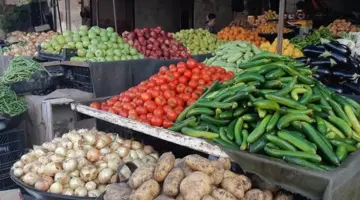 أسعار الخضروات اليوم، انخفاض الطماطم والبطاطس وارتفاع 9 أصناف منها الليمون والخيار والفلفل